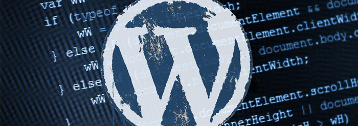 Wordpress Entwickler/in gesucht